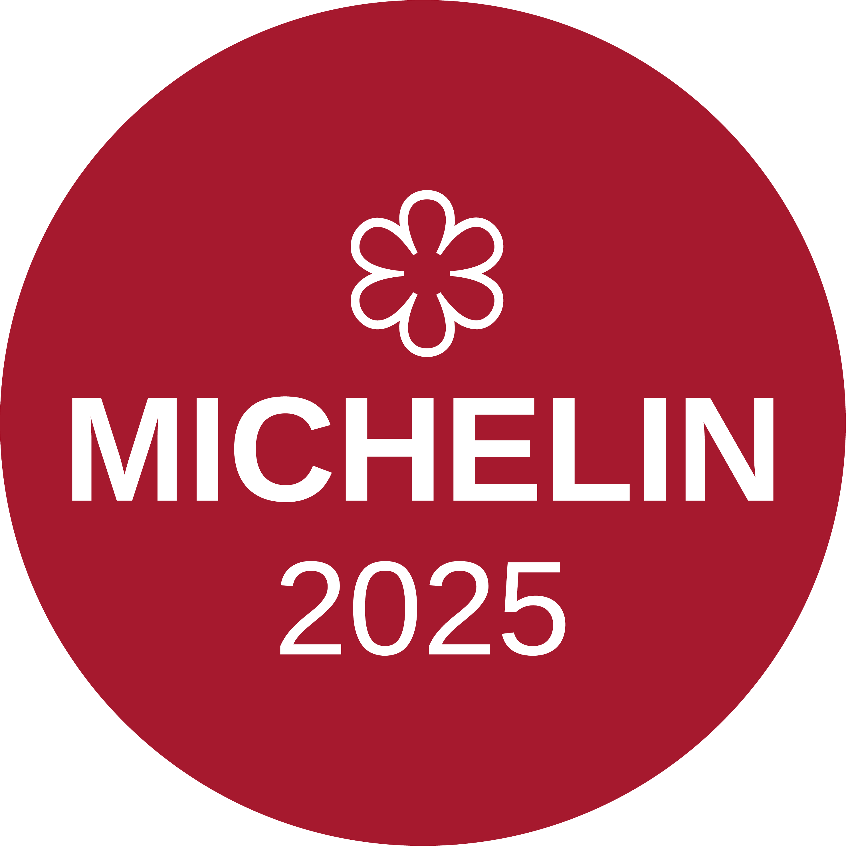 Michelin 2025 1 star label